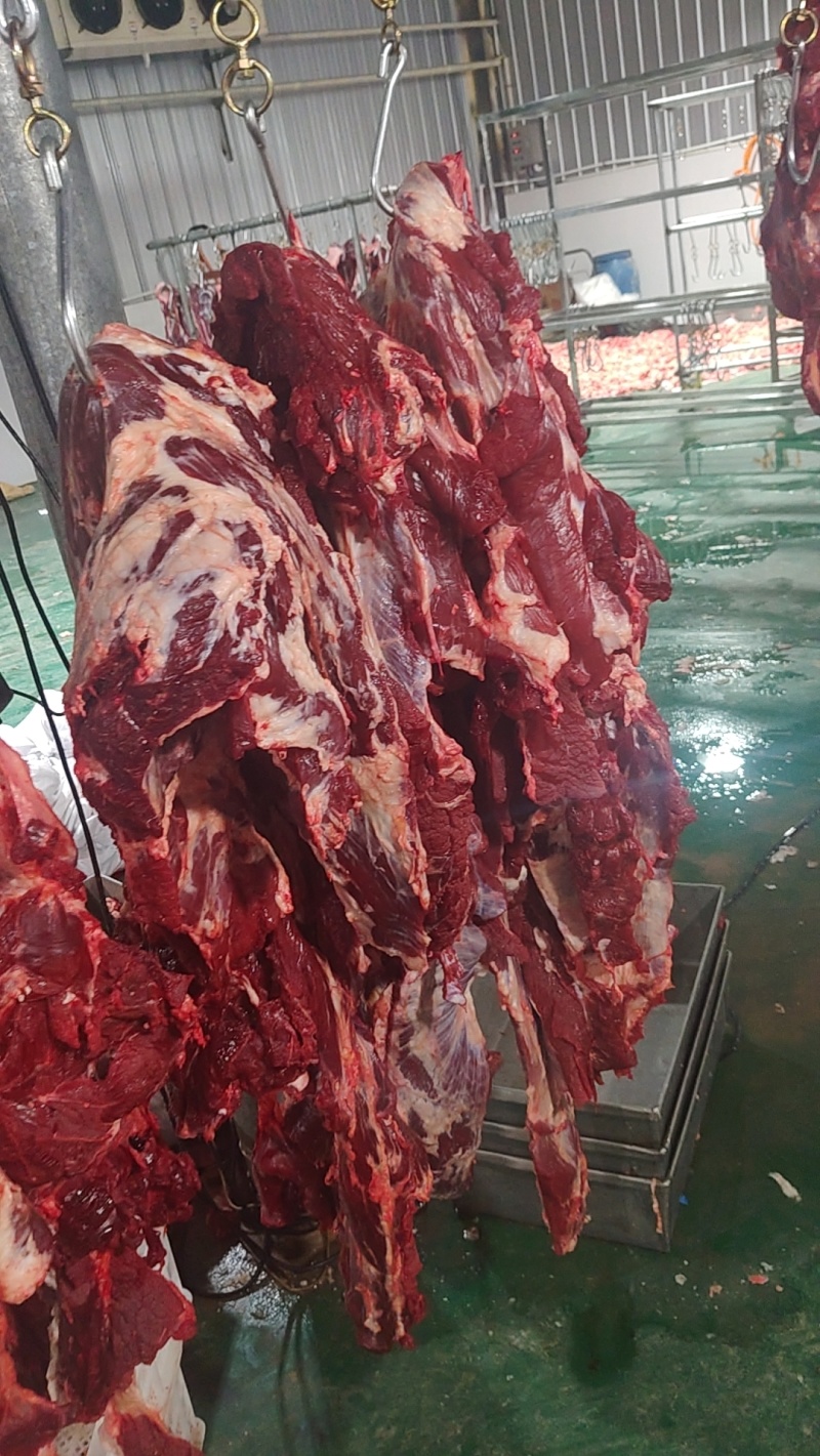 大公牛纯干勃肉，精修无油，手续齐全，带检疫，冻好发货。