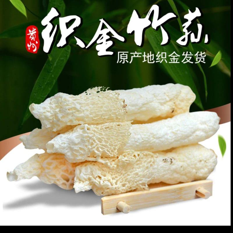 织金红托竹荪