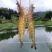南美对虾白对虾基围虾养殖大棚大头虾冰冻锁鲜冰鲜快运新鲜捕捞