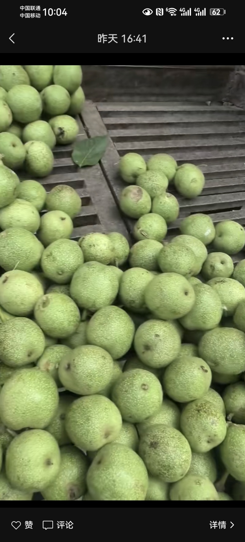 青皮核桃