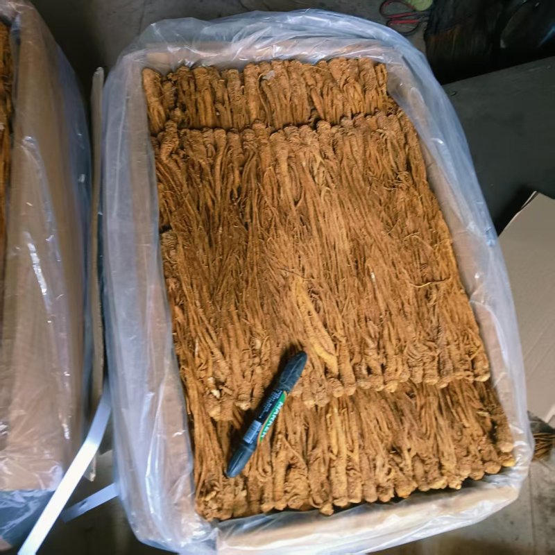 甘肃当归干货药性韩走货全国规格齐全价格美丽欢迎询价