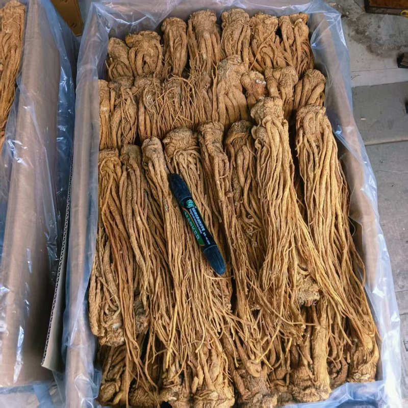 甘肃当归干货药性韩走货全国规格齐全价格美丽欢迎询价