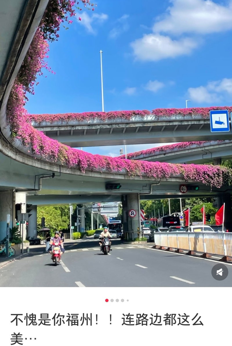 三角梅造型造景专用，花墙柱子心型动物造型，基地直发