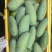 百色桂七芒果