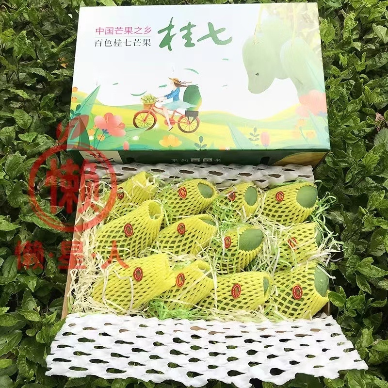 桂七芒果青皮芒果对接直播团购平台一件代发包邮非贵妃小台芒