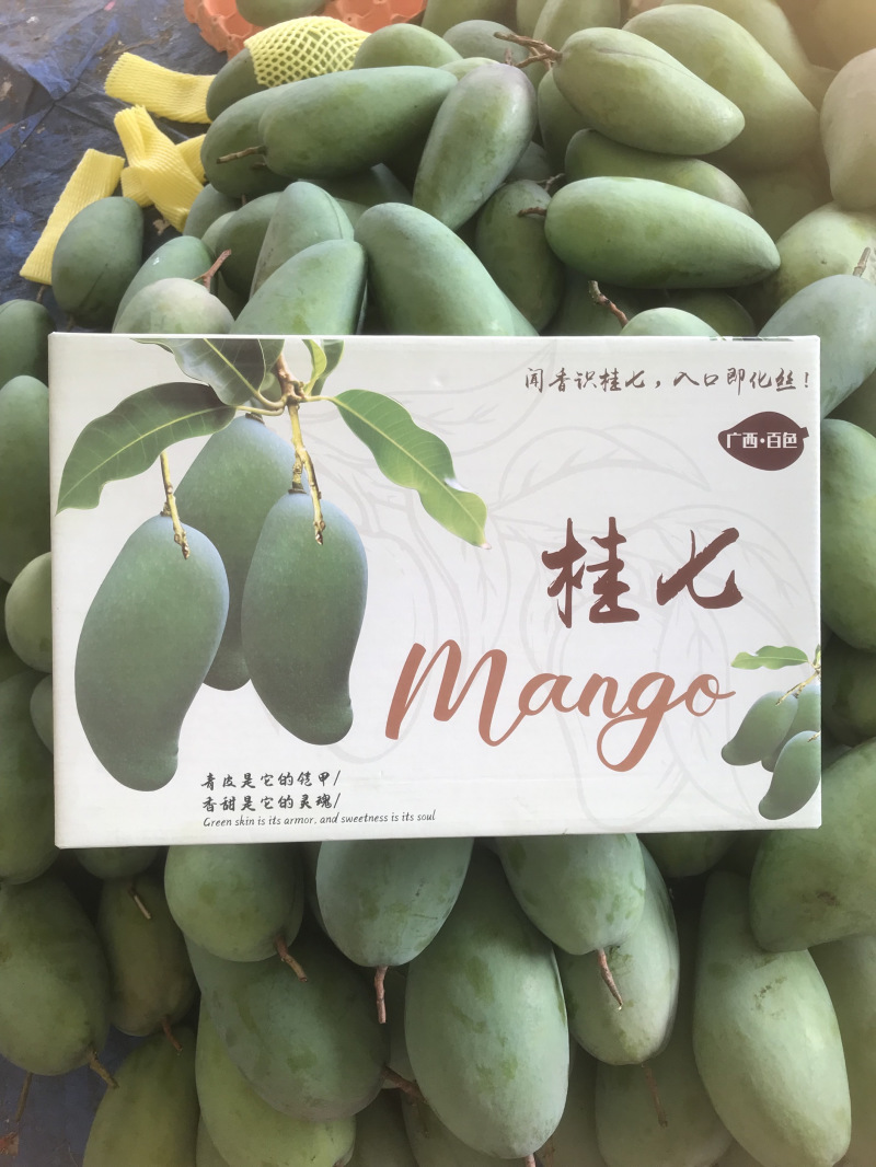 桂七芒果青皮芒果对接直播团购平台一件代发包邮非贵妃小台芒