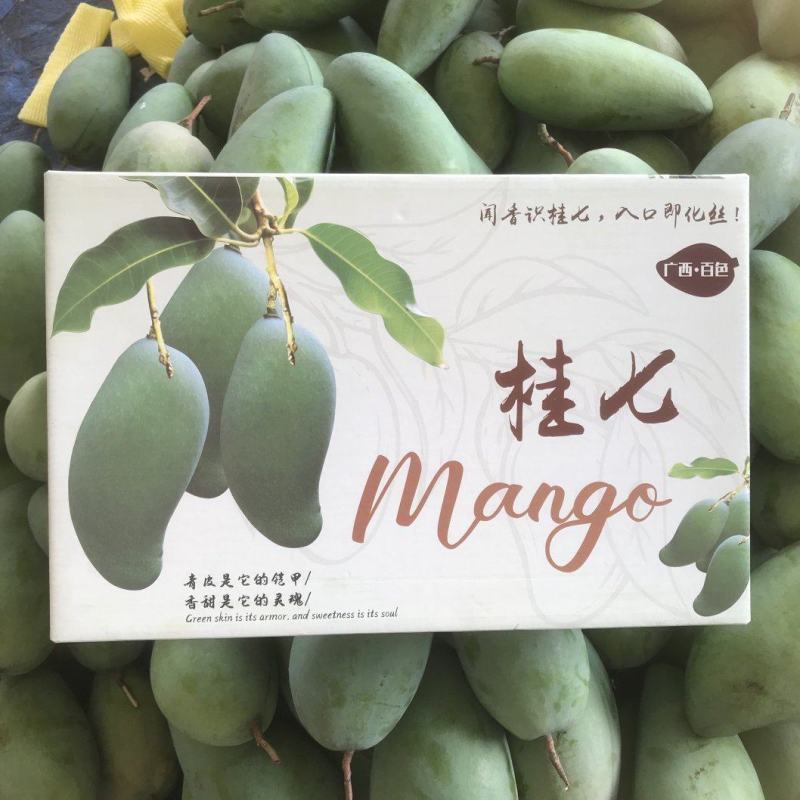 【现货】桂七芒果大青芒果一件代发源头非贵妃金煌芒果供直播