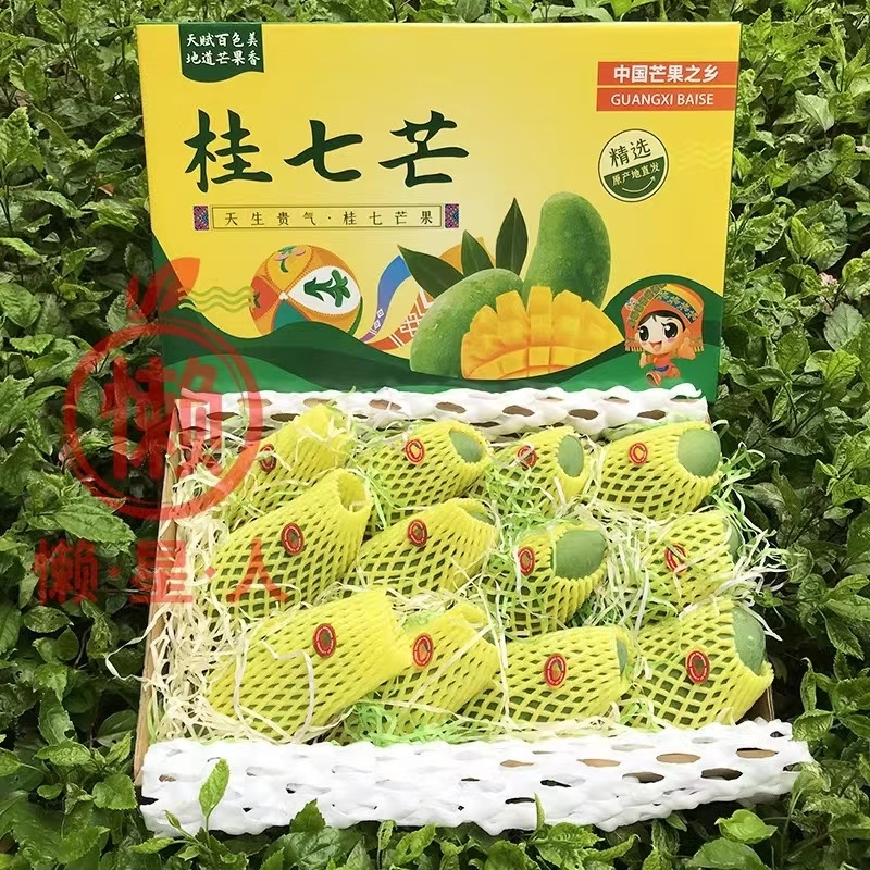 【现货】桂七芒果大青芒果一件代发源头非贵妃金煌芒果供直播