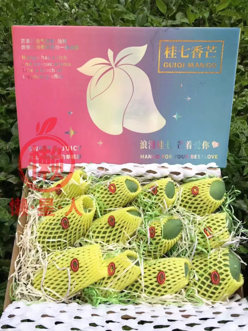 【现货】桂七芒果大青芒果一件代发源头非贵妃金煌芒果供直播
