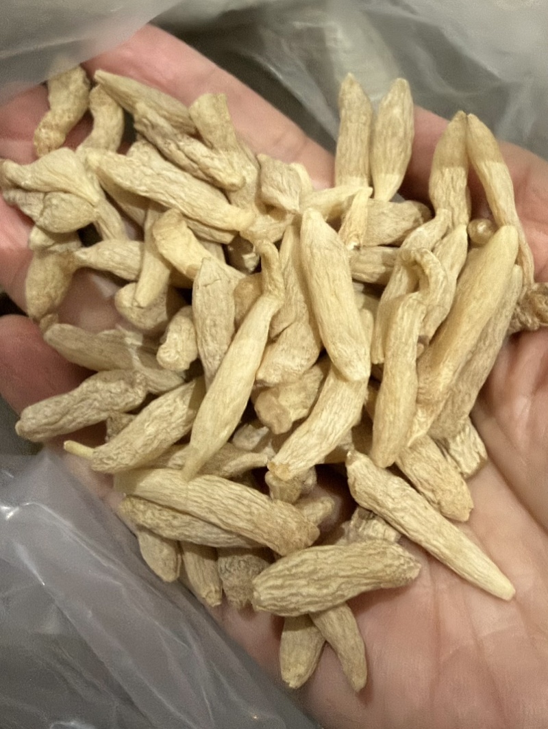 特级麦冬