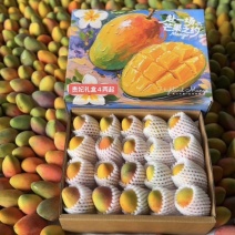 贵妃芒果一件代发包邮源头非小台非金煌接直播团购批发