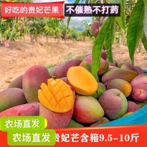 贵妃芒果一级果一件代发包邮接直播团购电商市场代办
