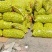 青皮核桃40.45优质核桃产地直供大量上市保质保量