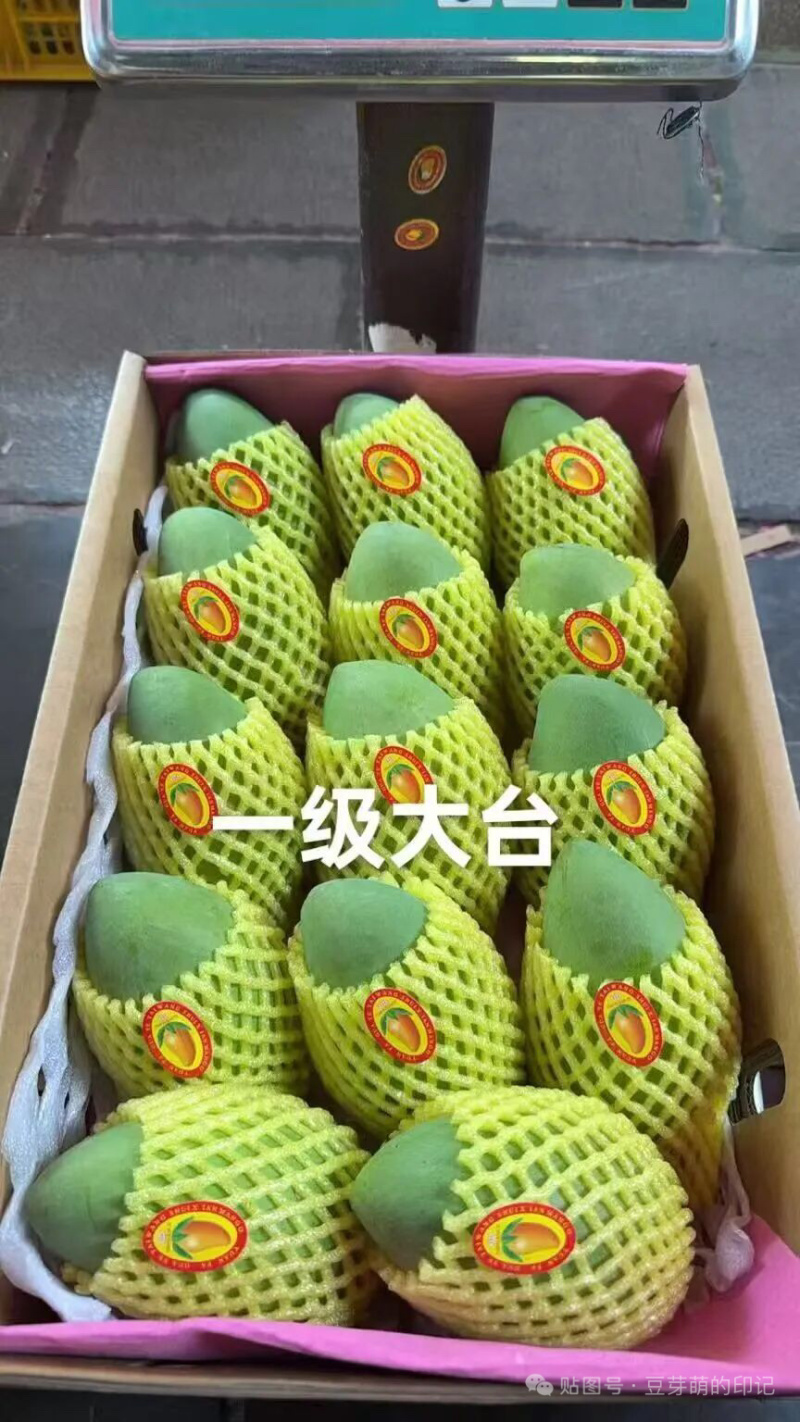 小台农芒果电商一件代发接市场代收代办团购直播等