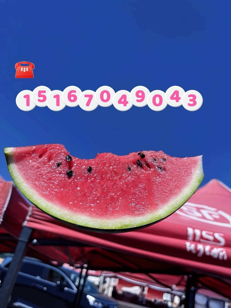 西瓜8424冰糖脆价格5毛一斤