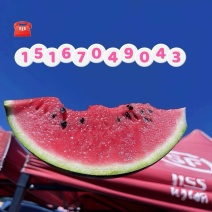 6毛西瓜8424冰糖脆6毛甜度13.5露天