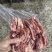 牛后胸肋条，烧烤烤肉烧鸟**产品，档口商超，批发零售