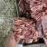 牛后胸肋条，烧烤烤肉烧鸟**产品，档口商超，批发零售