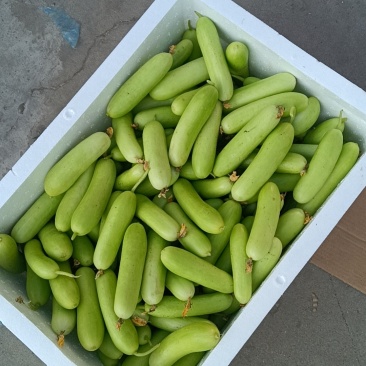 奶油小黄瓜