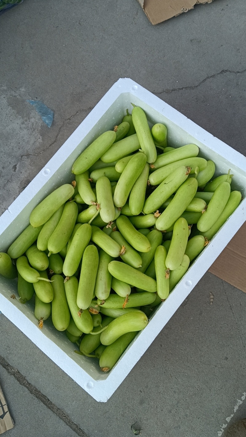 奶油小黄瓜