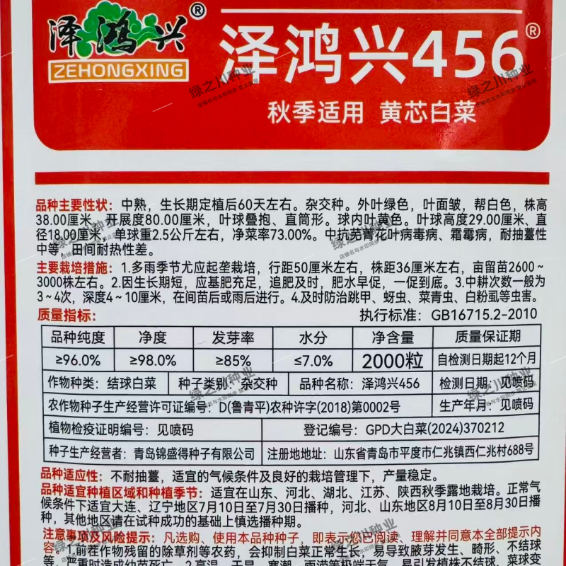 泽鸿兴456大白菜种子黄芯大白菜种子中熟秋季抗病杂交黄心