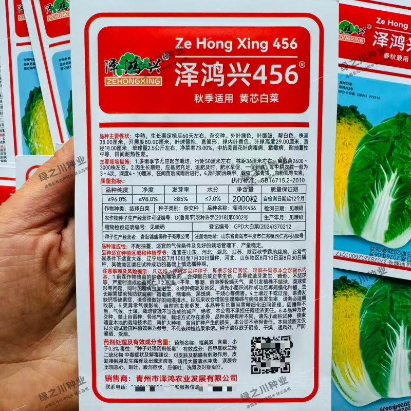 泽鸿兴456大白菜种子黄芯大白菜种子中熟秋季抗病杂交黄心