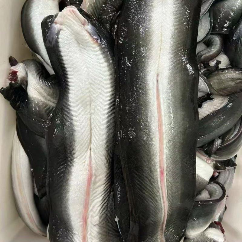 冰鲜，冷冻鳗鱼片、蒲烧鳗鱼原料、烧烤店，日料店**