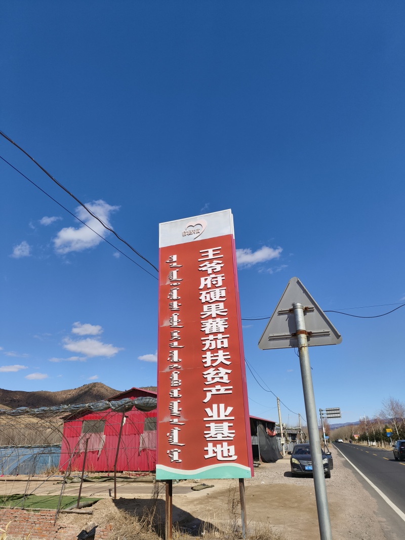 西红柿上市了，代办，代收
