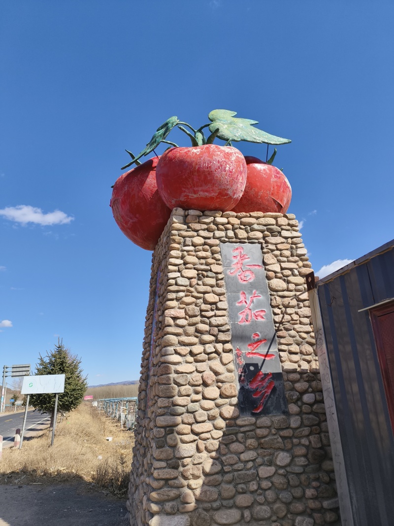 西红柿上市了，代办代收