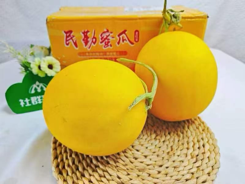 民勤蜜瓜，金红宝，黄皮红肉，软糯香甜，支持一件代发