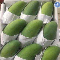 【大量】大青芒批发代发代办电商一件代发实力靠谱