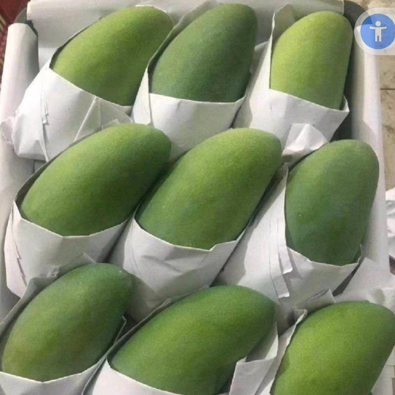 【大量】大青芒批发代发代办电商一件代发实力靠谱