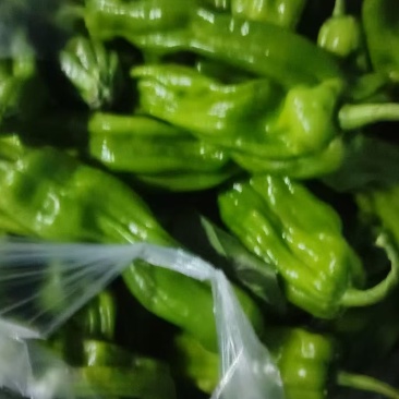青椒