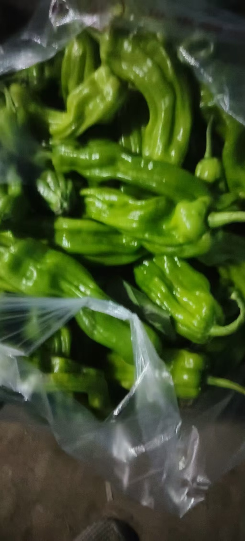 青椒