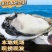 湛江特产生蚝官渡本地鲜活生蚝新鲜带壳海鲜水产正宗批发冰鲜发货