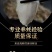 湛江特产生蚝官渡本地鲜活生蚝新鲜带壳海鲜水产正宗批发冰鲜发货