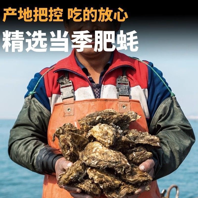 湛江特产生蚝官渡本地鲜活生蚝新鲜带壳海鲜水产正宗批发冰鲜发货