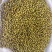 常年出售绿豆大绿豆30吨起订