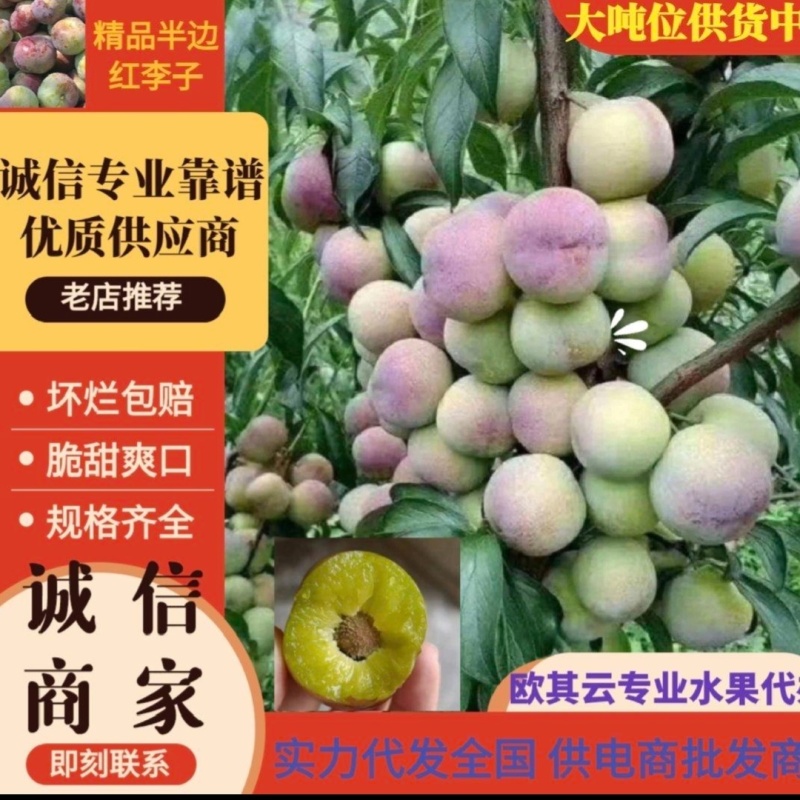 四川精品半边红脱骨李，产地直供，大量供应市场,商超,电商