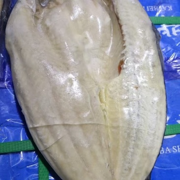 巴沙鱼