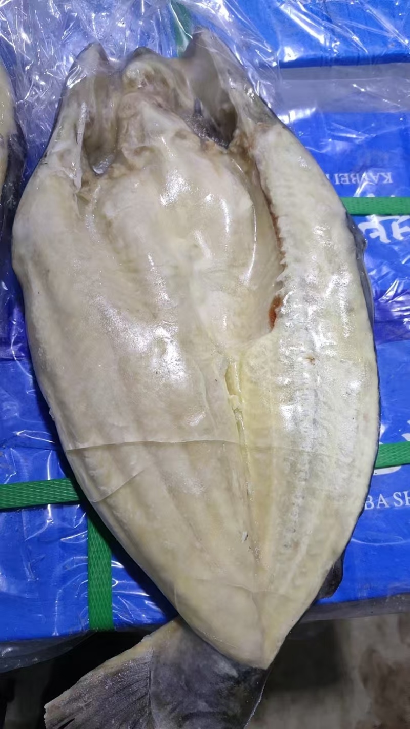 巴沙鱼