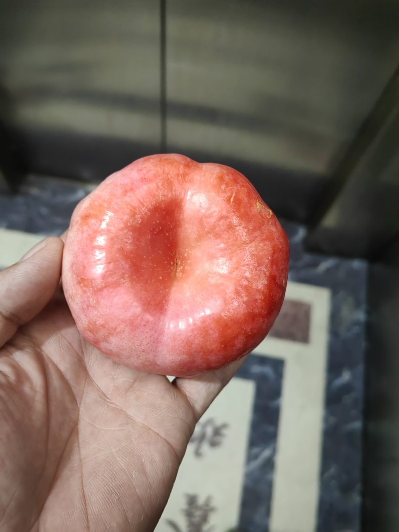正宗蒙阴蜜桃200个品种
