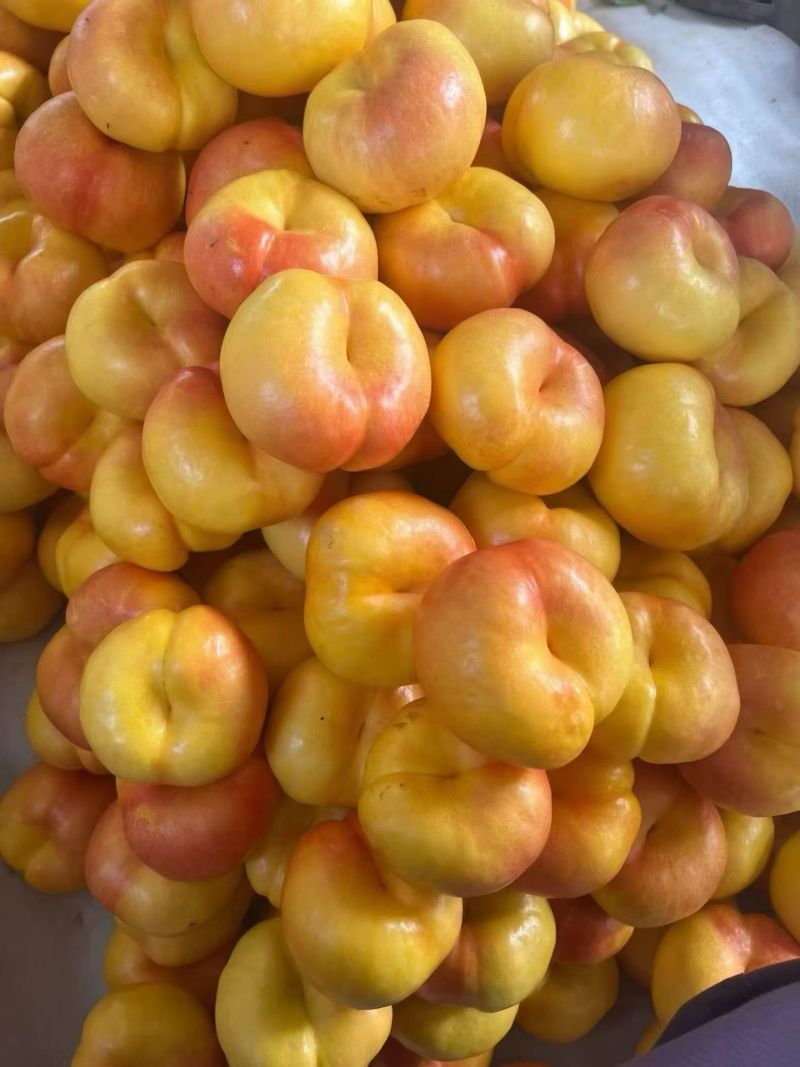 蒙阴蜜桃200个品种