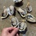 潮州蚝福建蚝汫洲生蚝中蚝