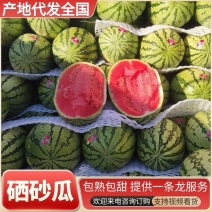 金花1号宁夏西瓜中卫西瓜产地直发产地直发质量三包