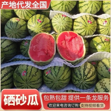 金花1号宁夏西瓜中卫西瓜产地直发产地直发质量三包