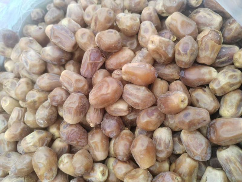 伊朗特级大黑椰枣货源充足电商专用批发价格