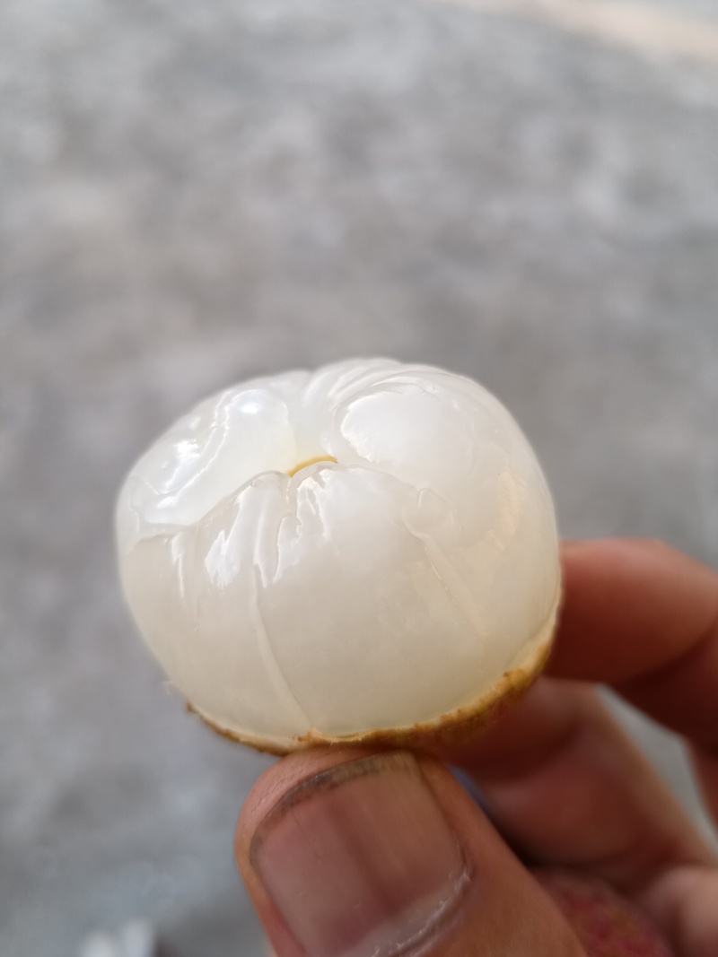 妃子笑荔枝一件代发包邮京东空运冷链次日达产地直销