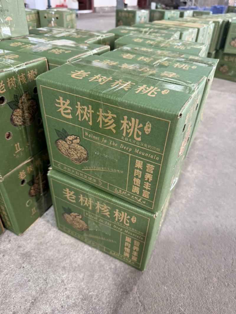 四川凉山青皮核桃产地一手货源价格低品质好包邮