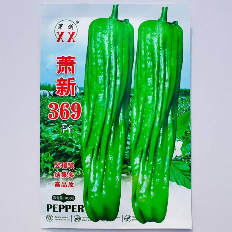 薄皮辣椒种子萧新369薄皮泡椒种籽泡椒蔬菜杂交种春秋播辣